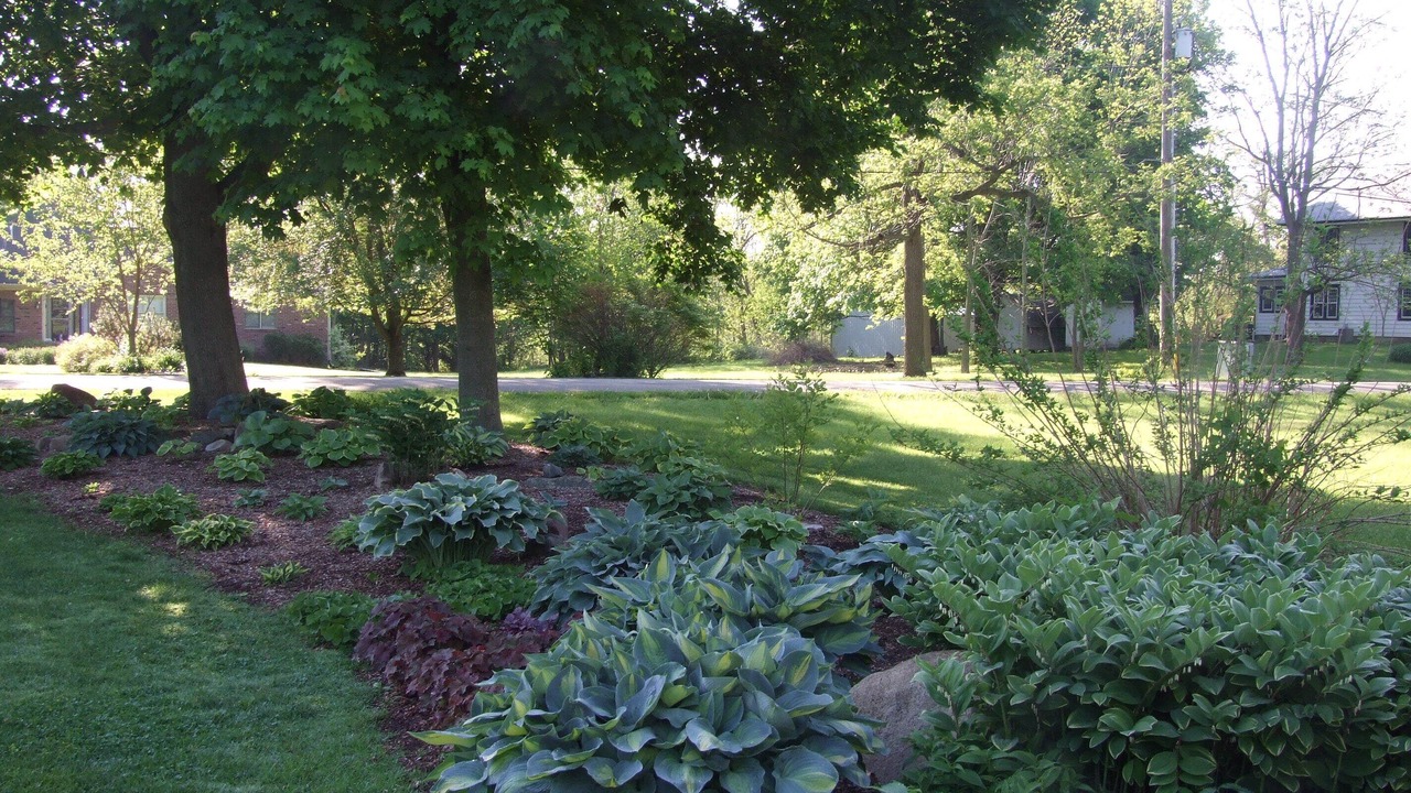 Photo of Outdoor in Acton
