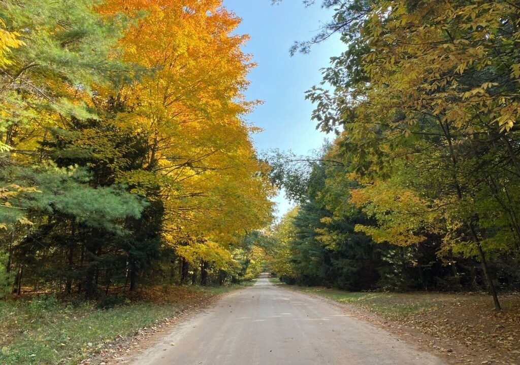 Photo of Outdoor in Montague