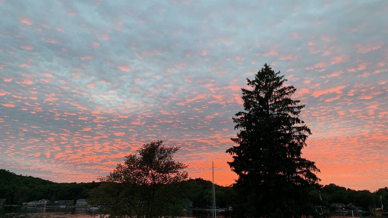 Photo of Outdoor in Pentwater
