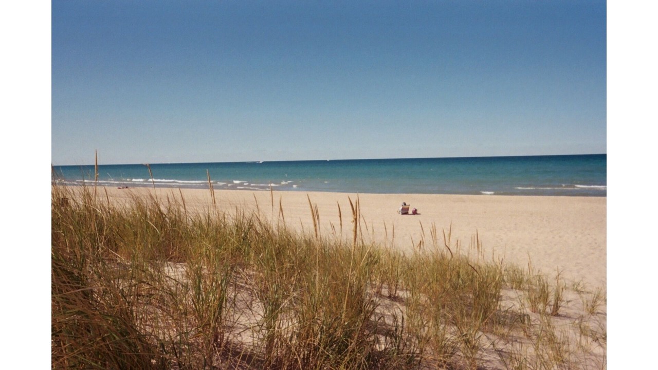 Photo of Others in Michigan City