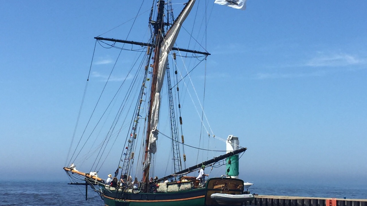 Photo of Others in South Haven