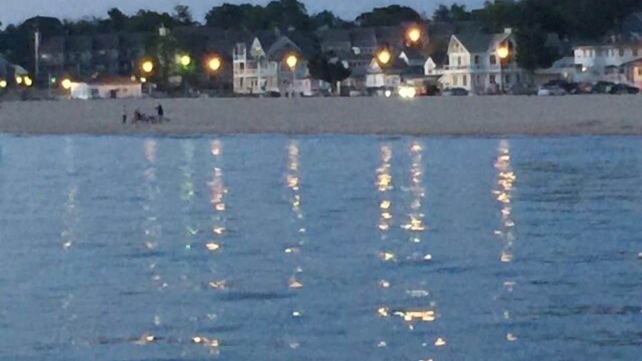 Photo of Others in South Haven