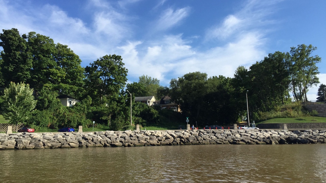 Photo of Others in South Haven