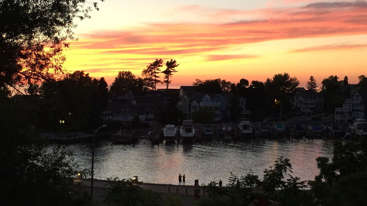 Photo of Others in South Haven