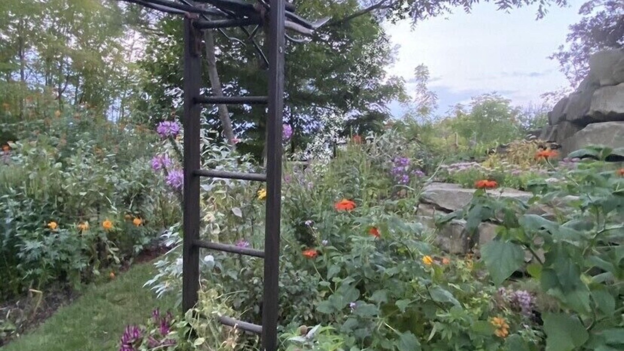 Photo of Outdoor in South Haven