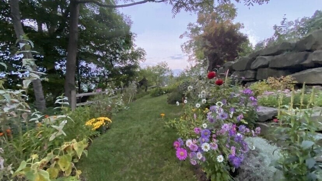 Photo of Outdoor in South Haven