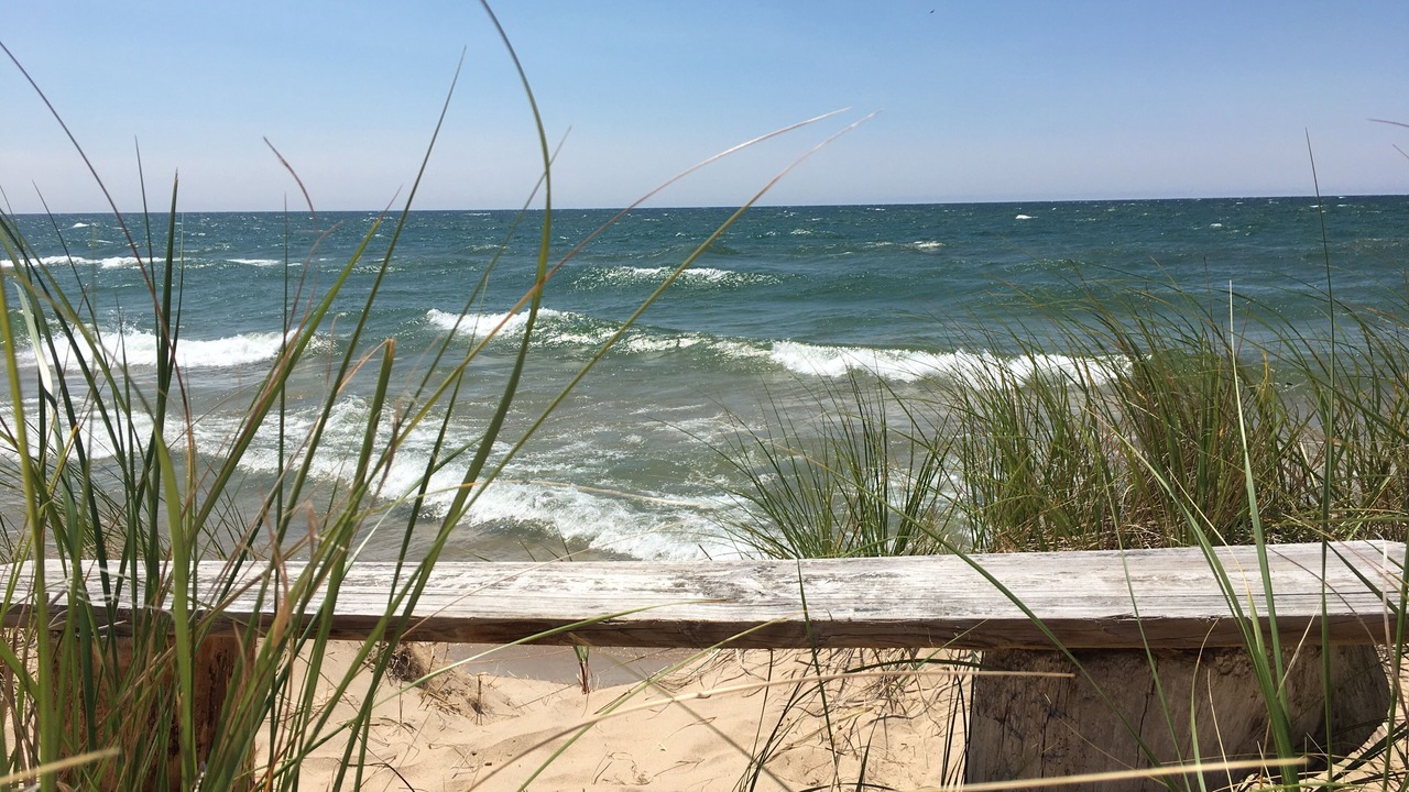 Photo of Others in Port Sheldon