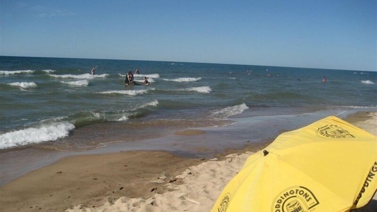 Photo of Others in Miller Beach