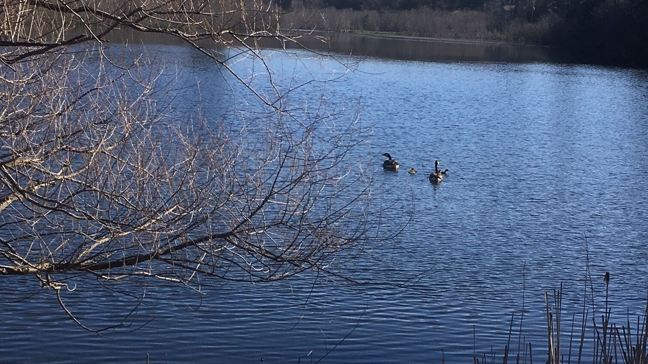 Photo of Others in Montague