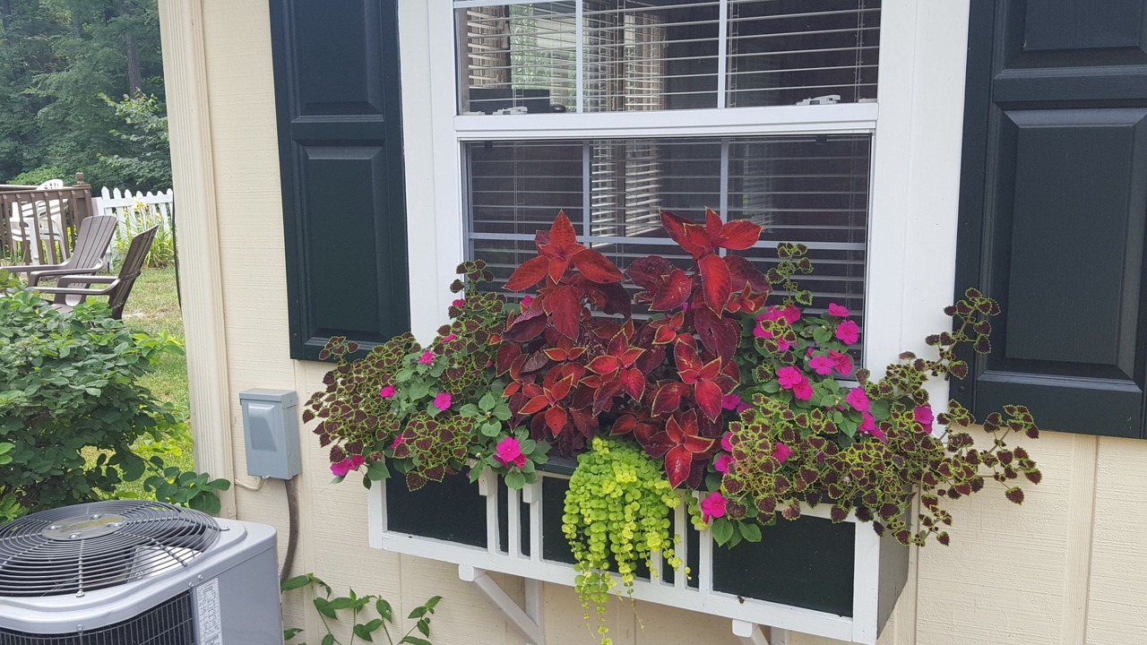 Photo of Outdoor in Monticello