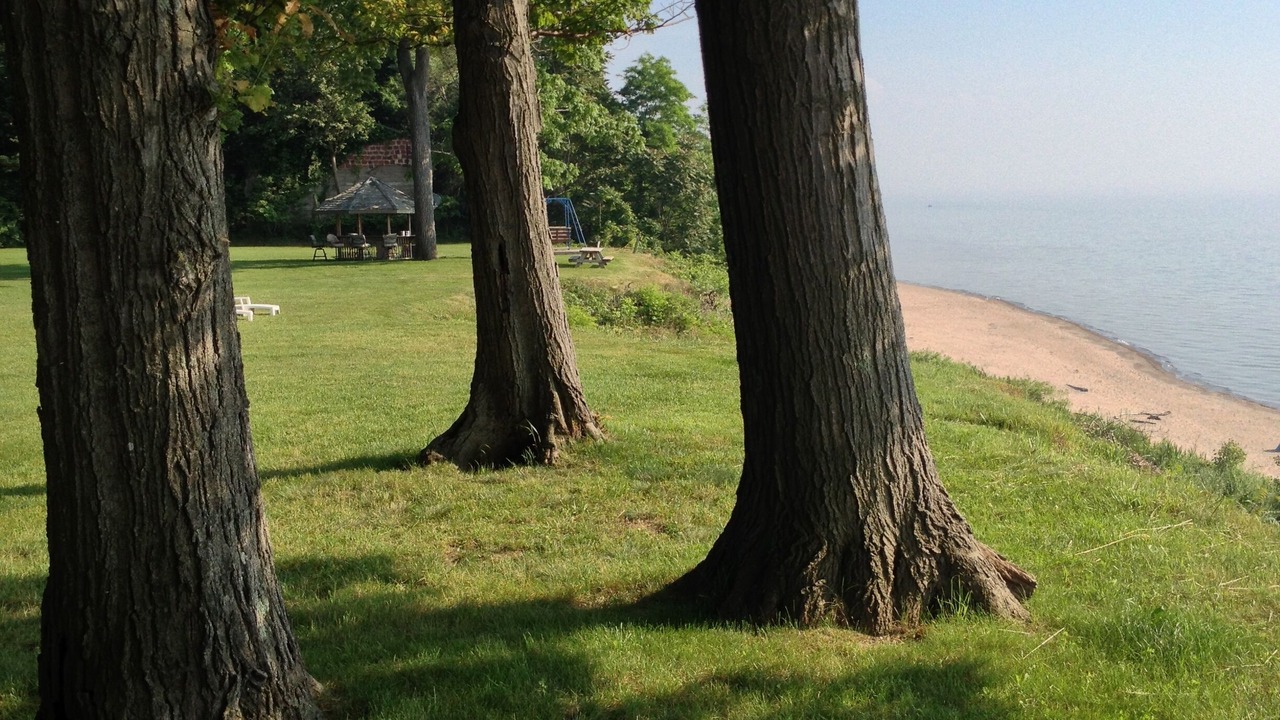 Photo of Outdoor in Fennville