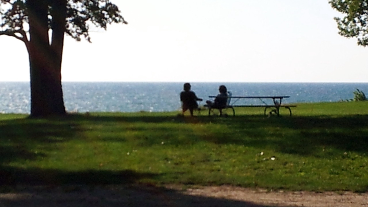 Photo of Outdoor in Fennville