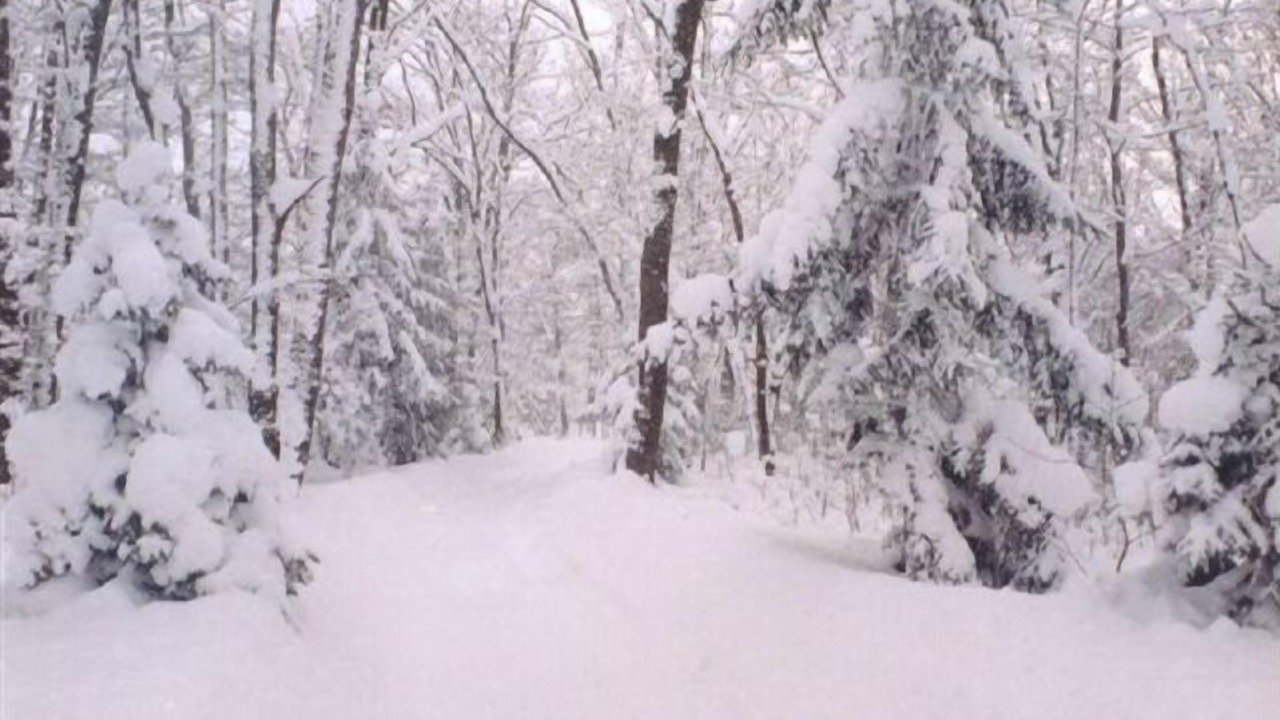 Photo of Others in Saugatuck