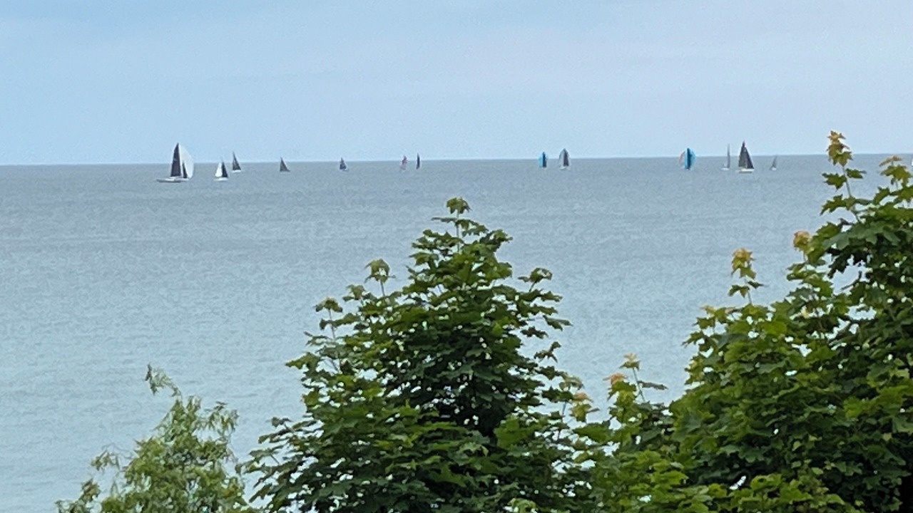 Photo of Others in South Haven