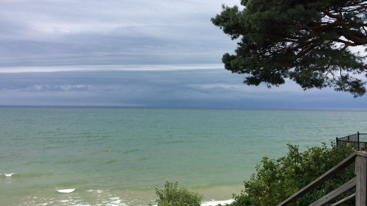 Photo of Others in South Haven