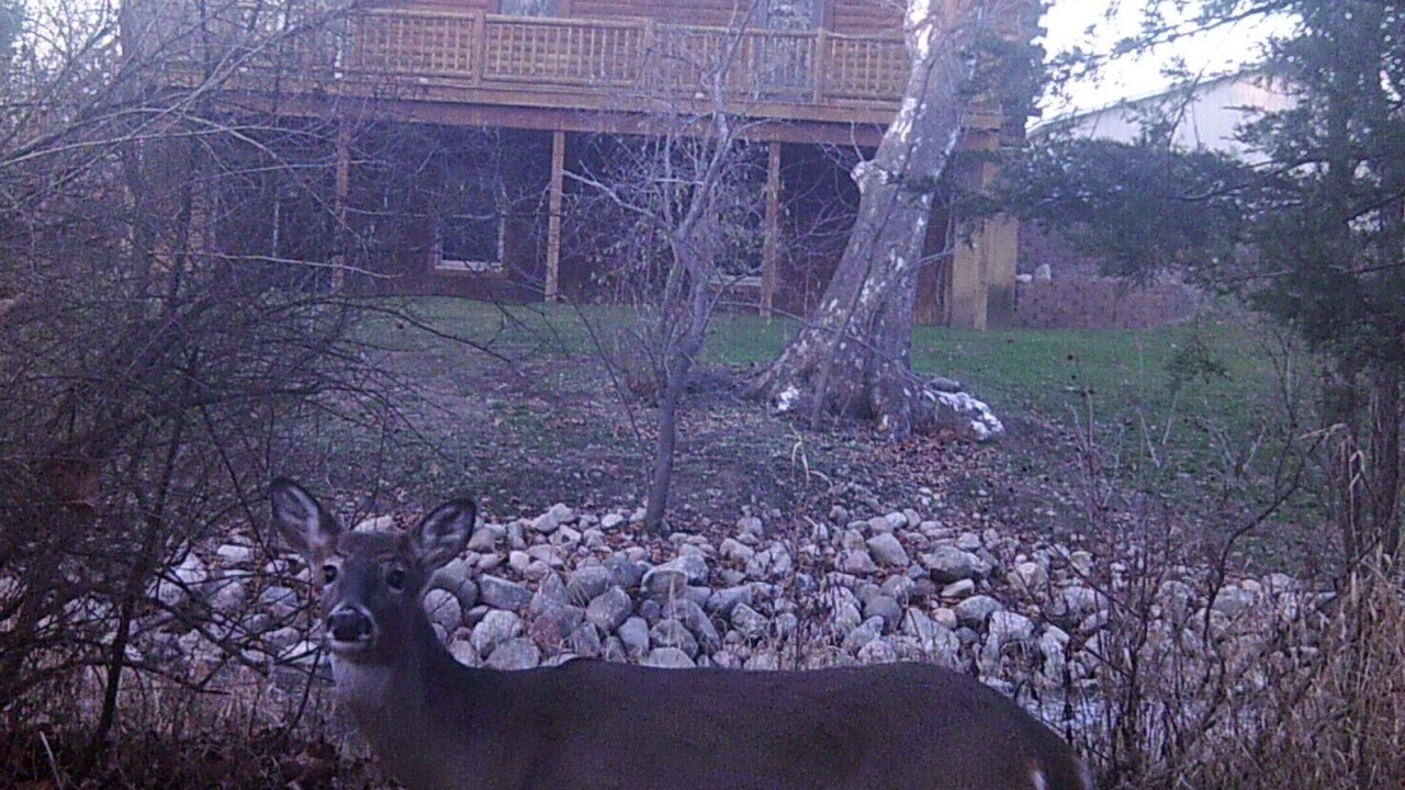 Photo of Outdoor in Fulton