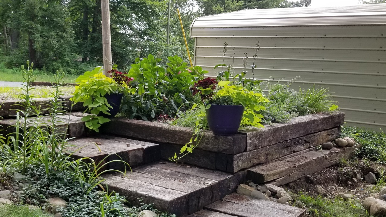Photo of Outdoor in Delton