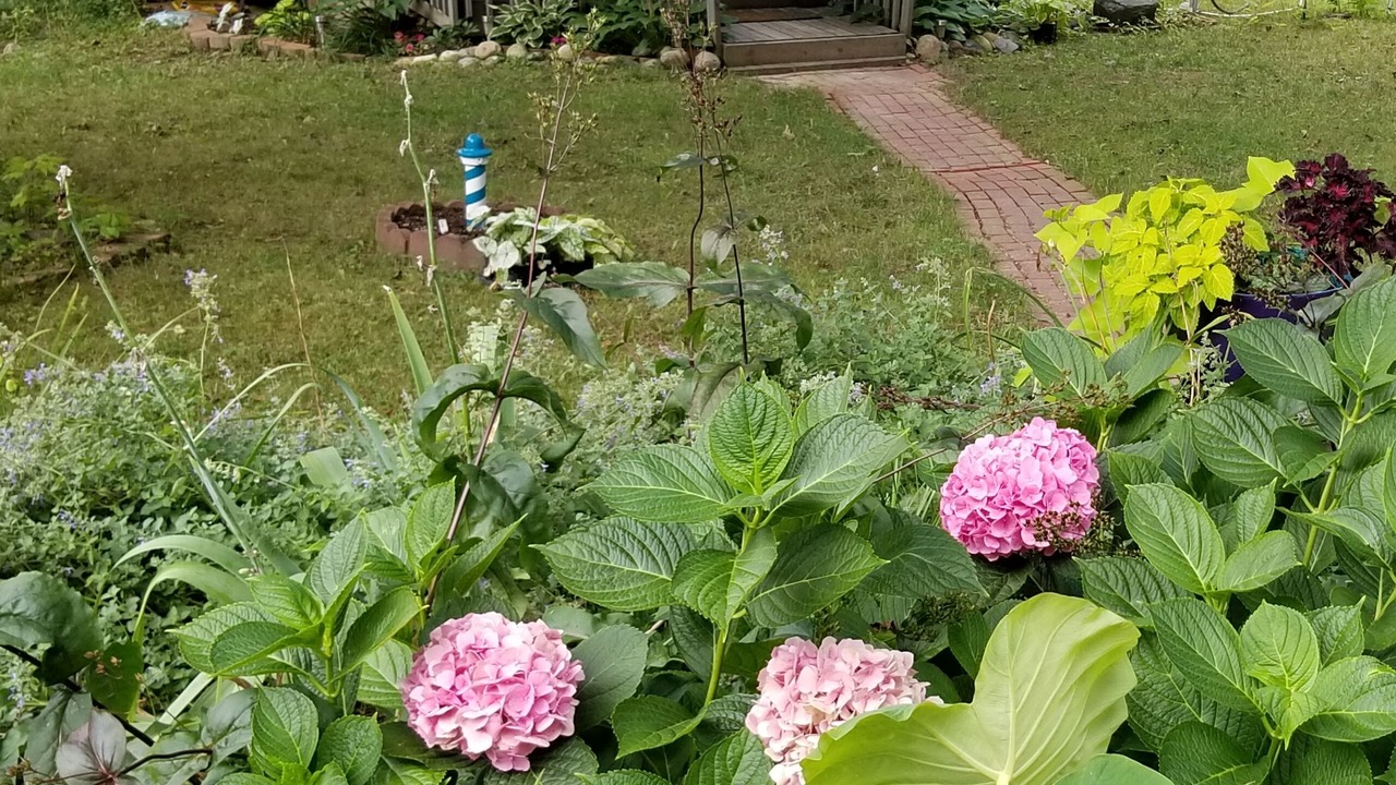 Photo of Outdoor in Delton