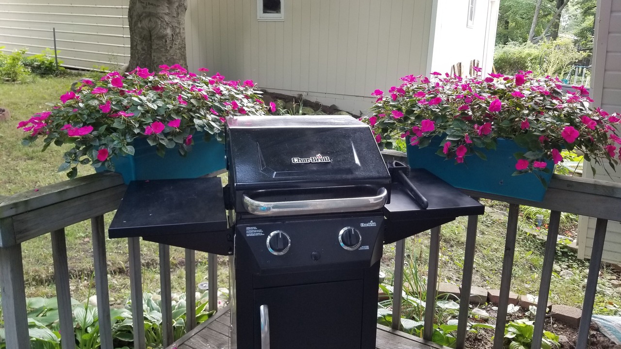 Photo of Outdoor in Delton