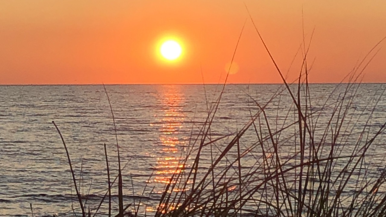 Photo of Outdoor in Montague