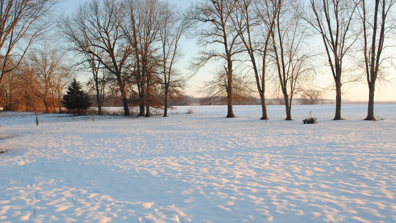 Photo of Others in Mattoon