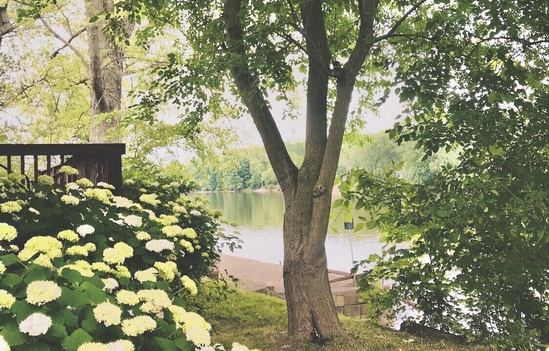 Photo of Outdoor in Comstock Park
