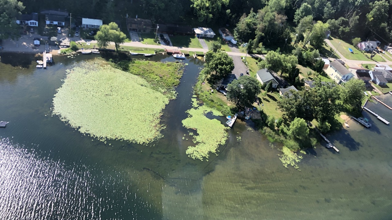 Photo of Outdoor in Cloverdale