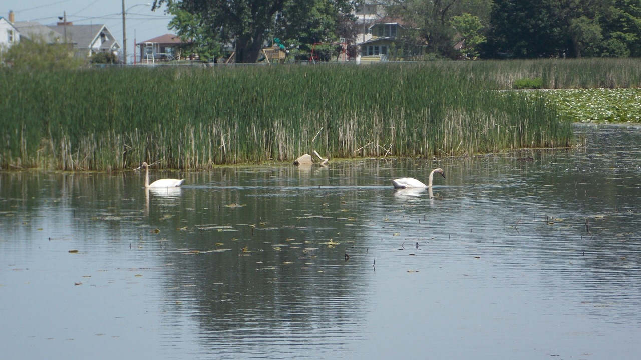 Photo of Others in Oak Harbor