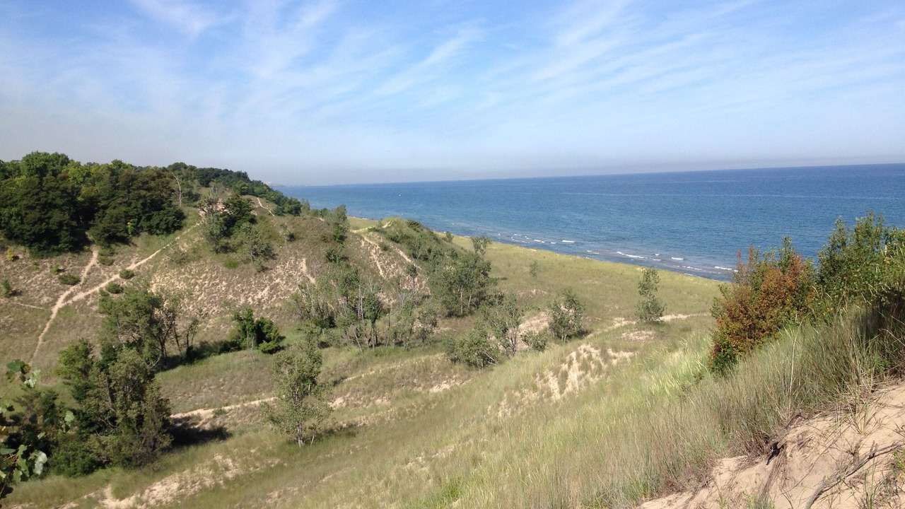 Photo of Others in Porter Beach