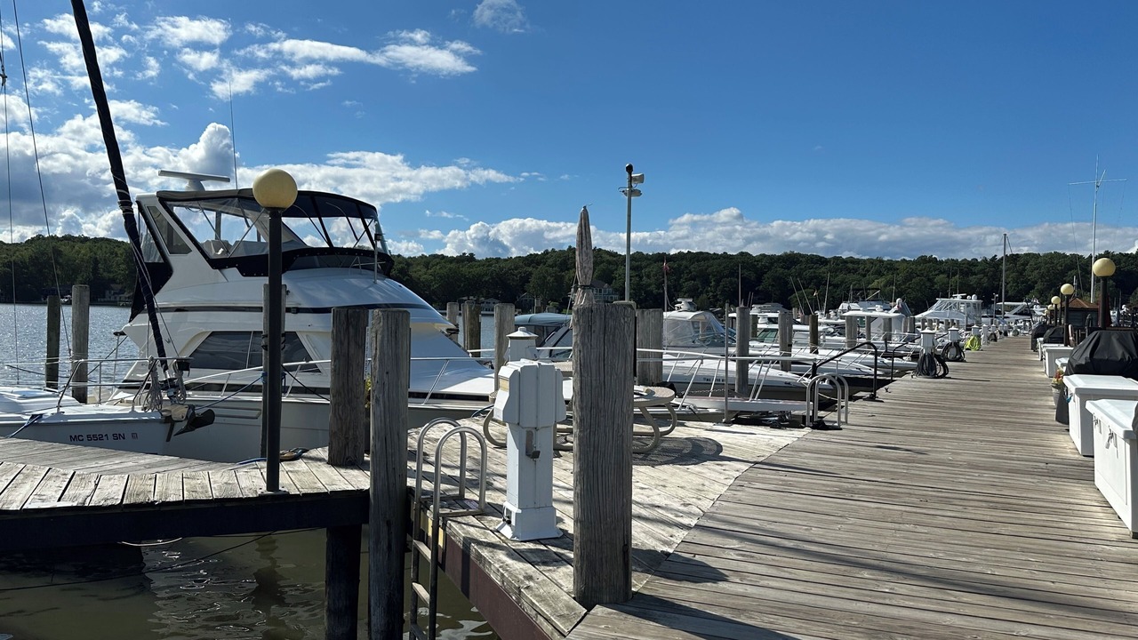 Photo of Others in Saugatuck