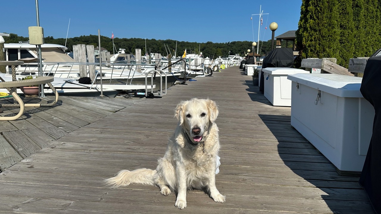 Photo of Others in Saugatuck