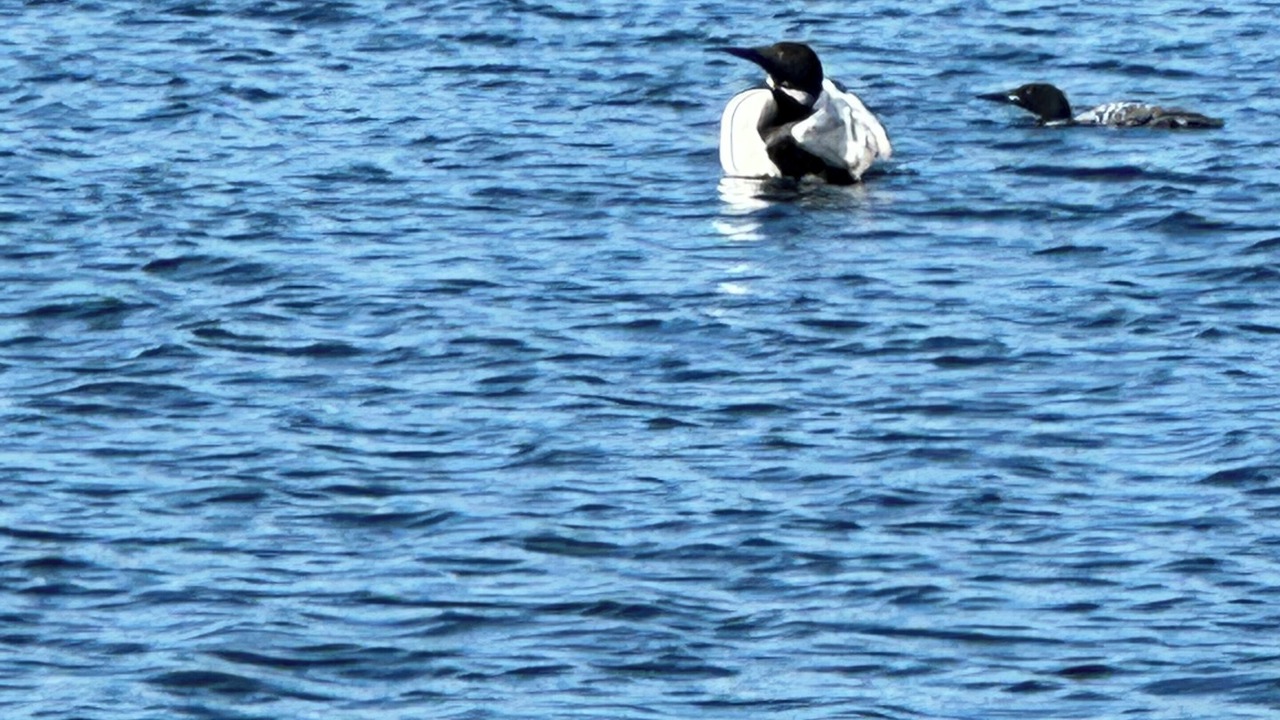 Photo of Others in Barryton