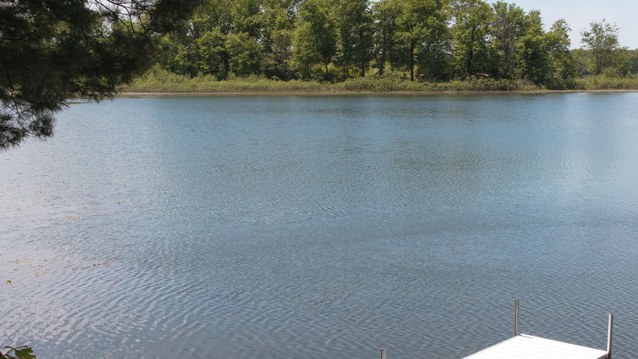 Photo of Others in Newaygo