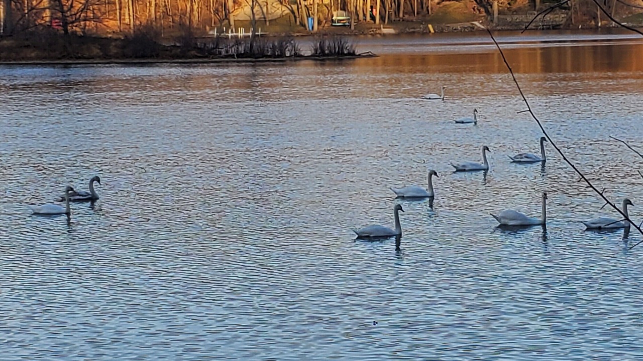 Photo of Others in Syracuse