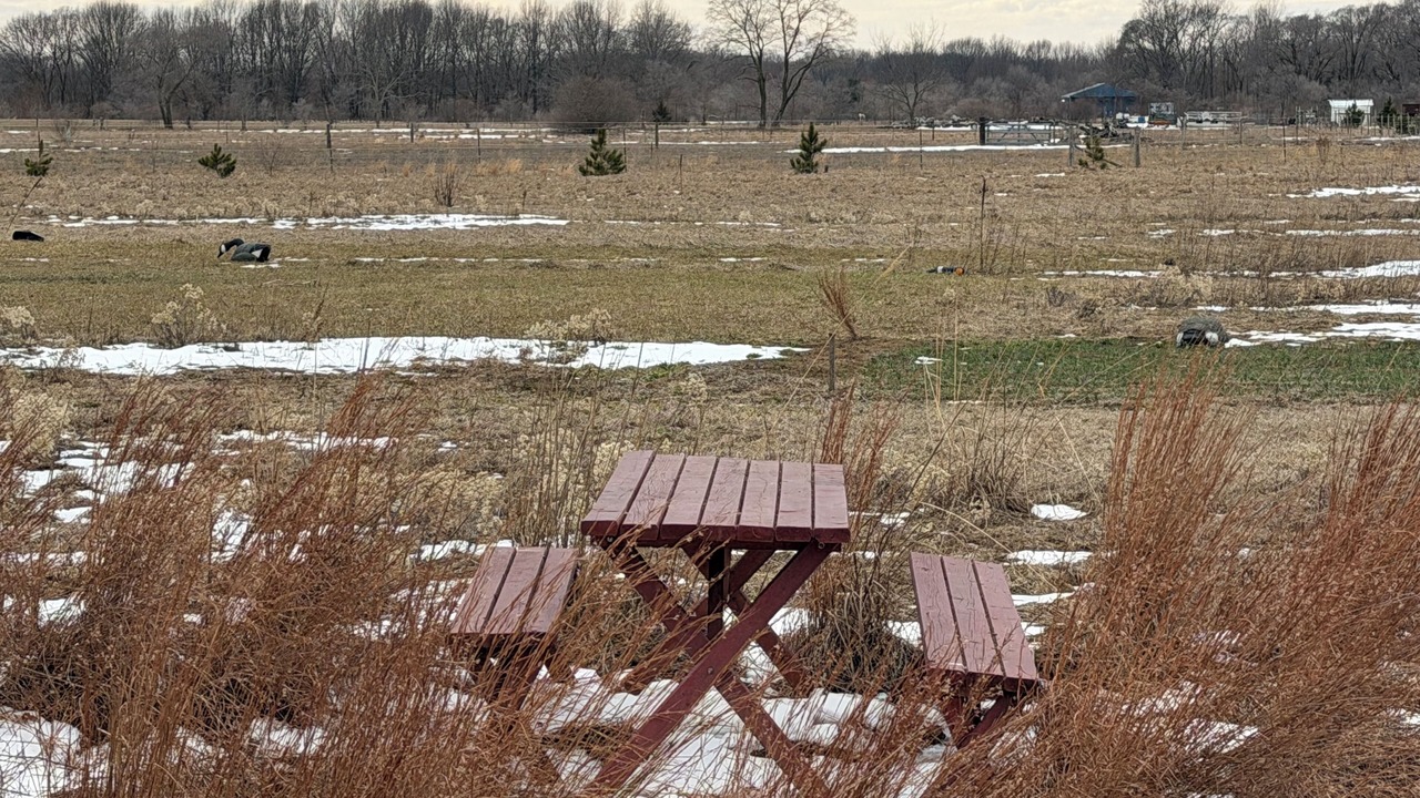 Photo of Outdoor in Benton Harbor