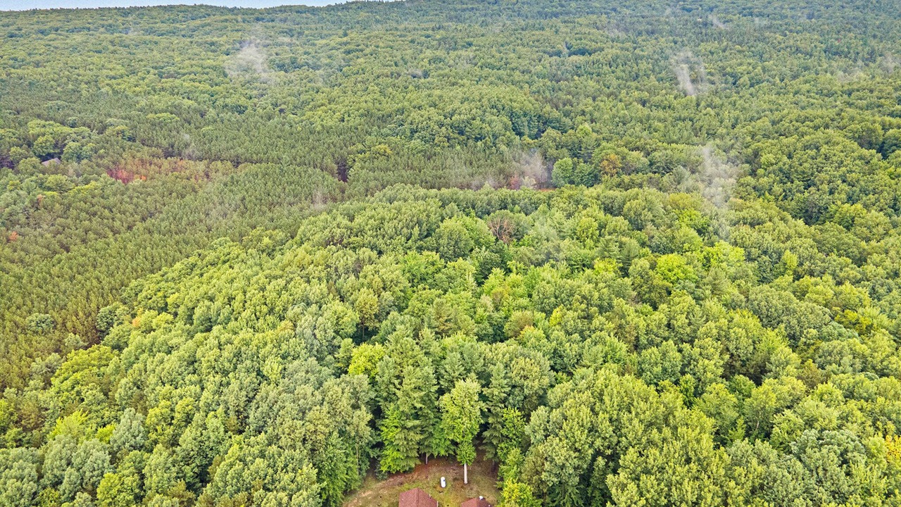 Photo of Outdoor in Manistee