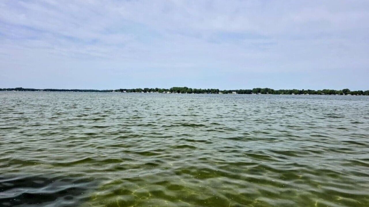 Photo of Others in Coldwater
