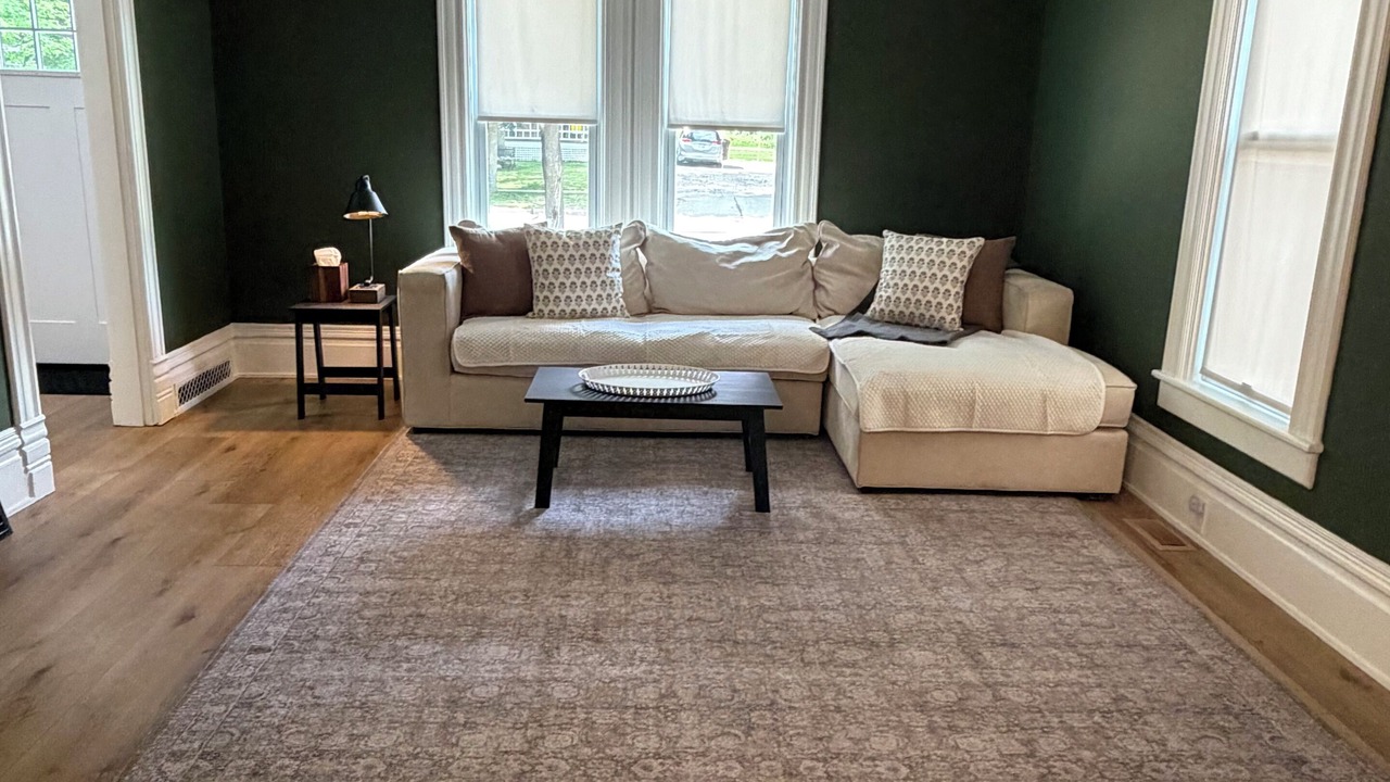 Photo of Livingroom in Ionia