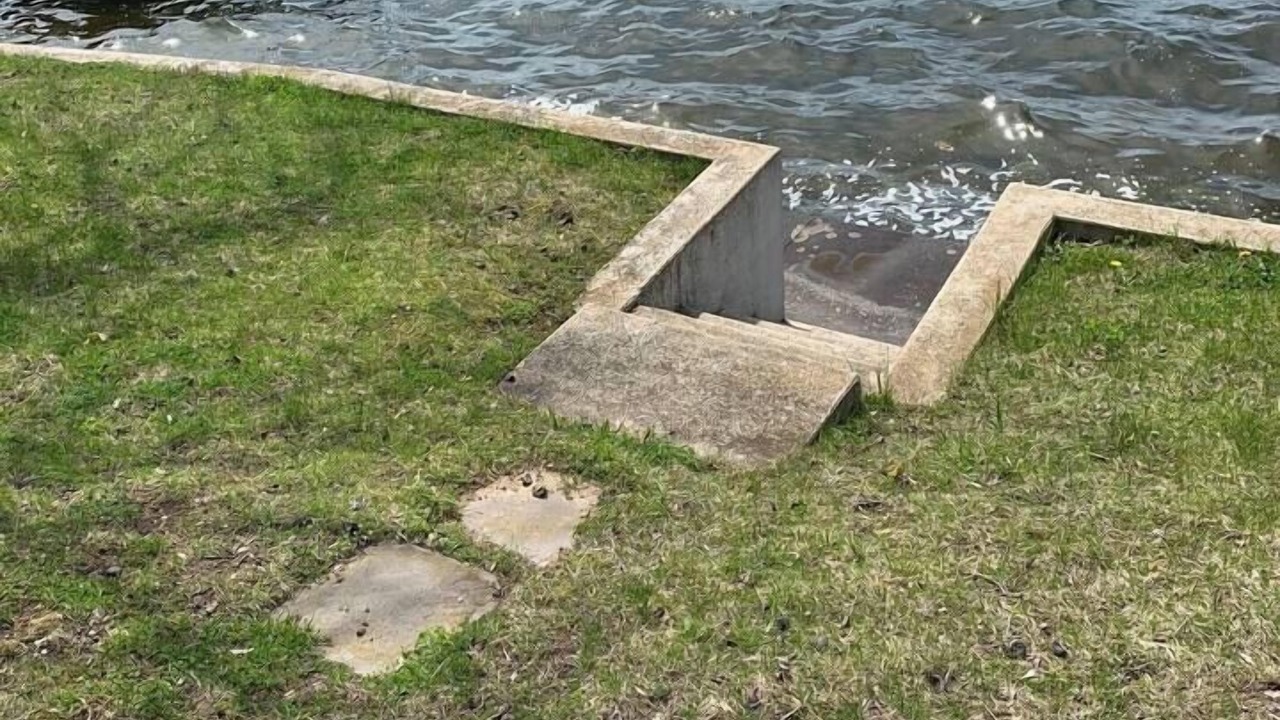 Photo of Others in North Webster