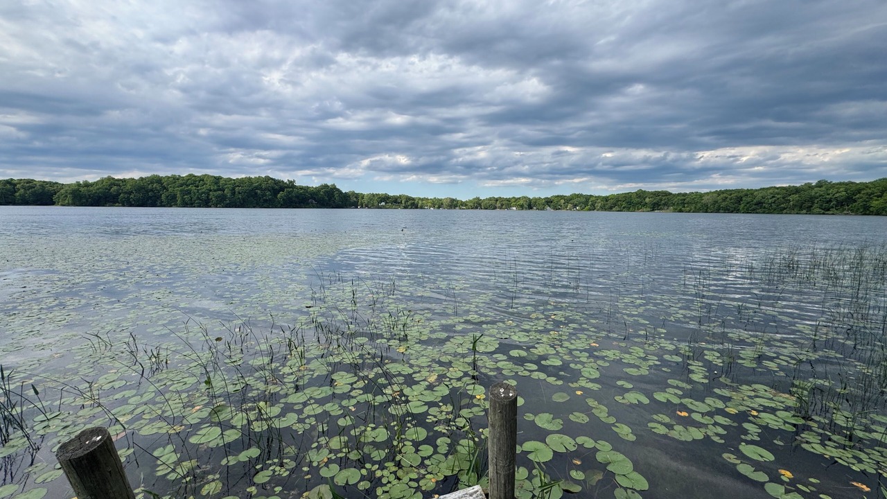 Photo of Others in Grass Lake