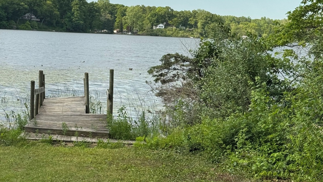 Photo of Others in Grass Lake