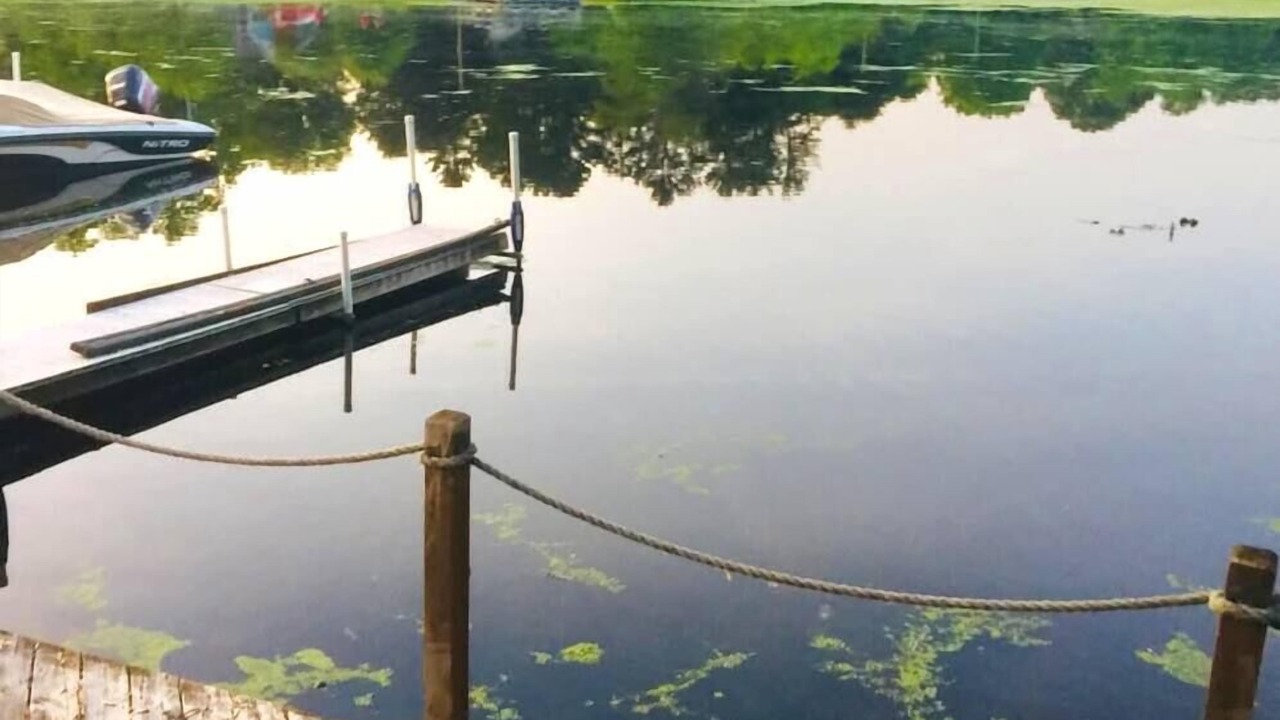 Photo of Others in North Webster