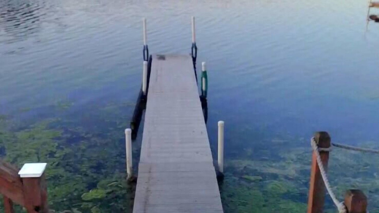 Photo of Others in North Webster