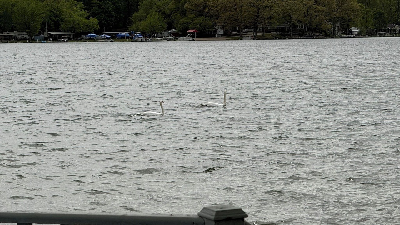 Photo of Others in Westler Lake