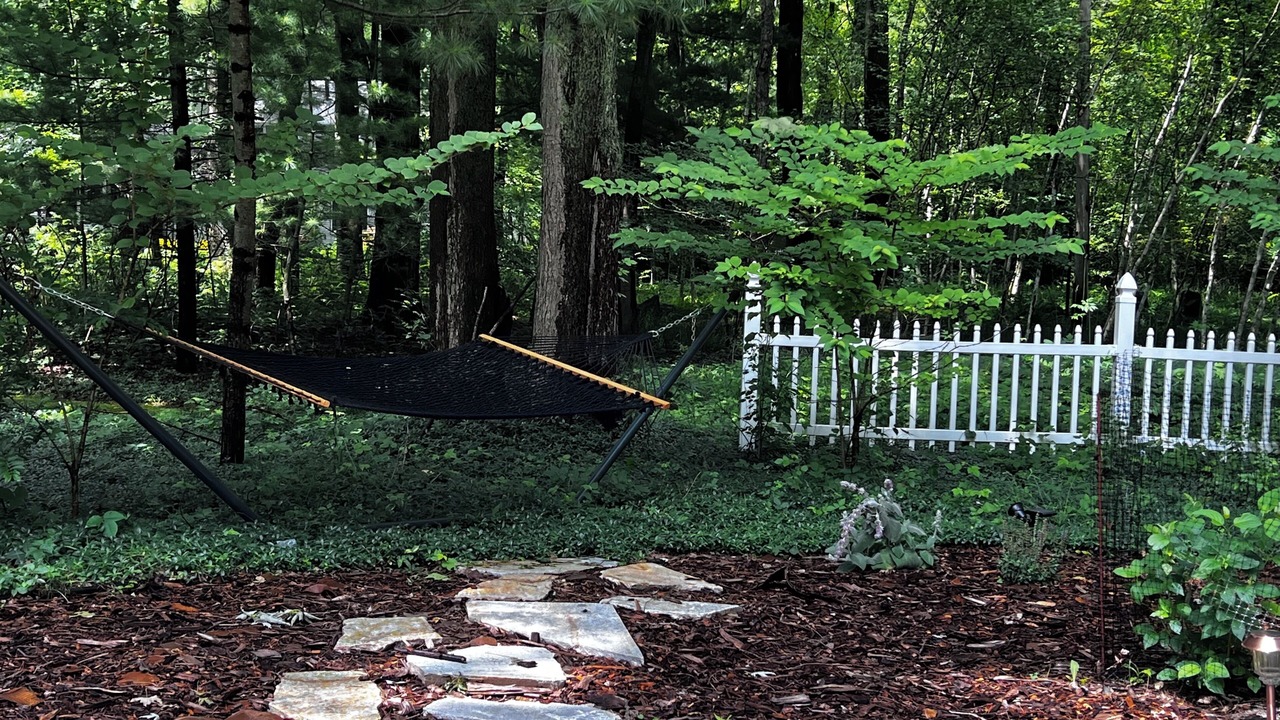 Photo of Outdoor in Harbert