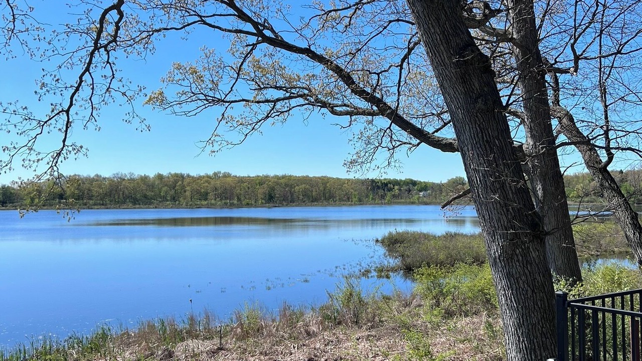 Photo of Outdoor in Delton