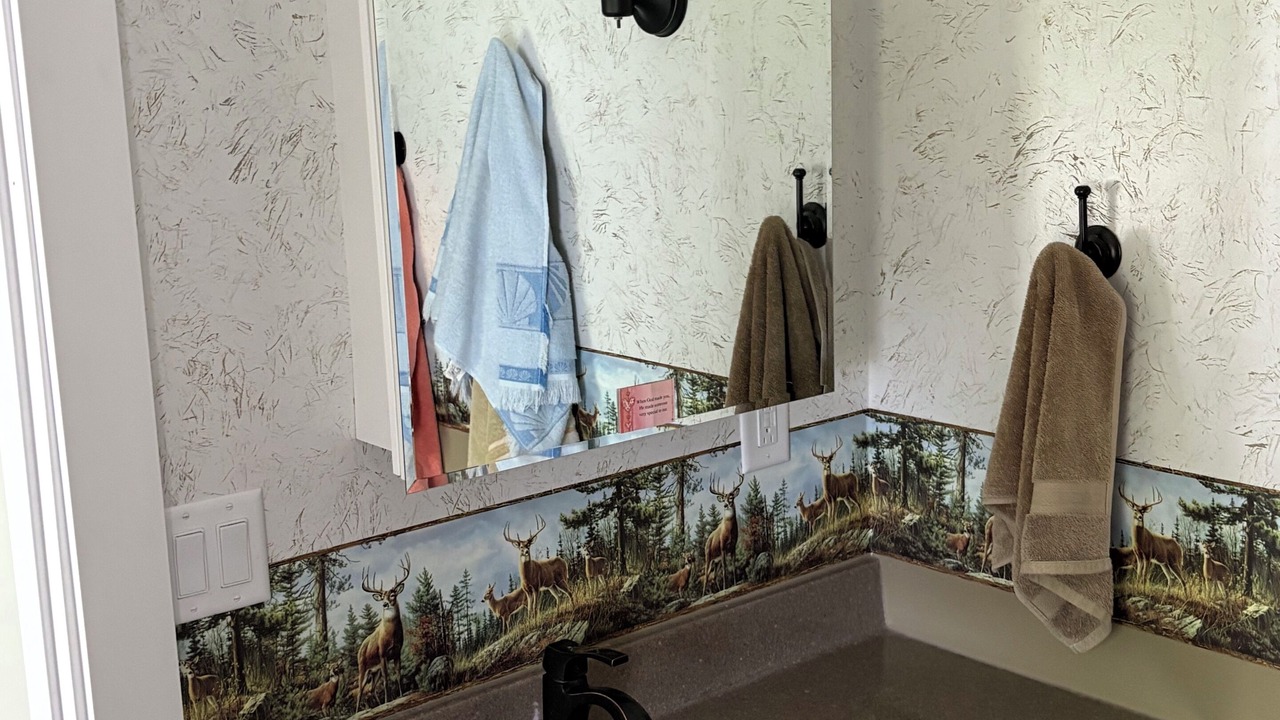 Photo of Bathroom in Eaton County