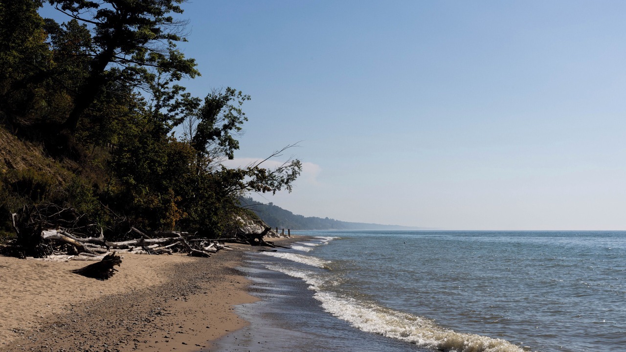 Photo of Others in South Haven