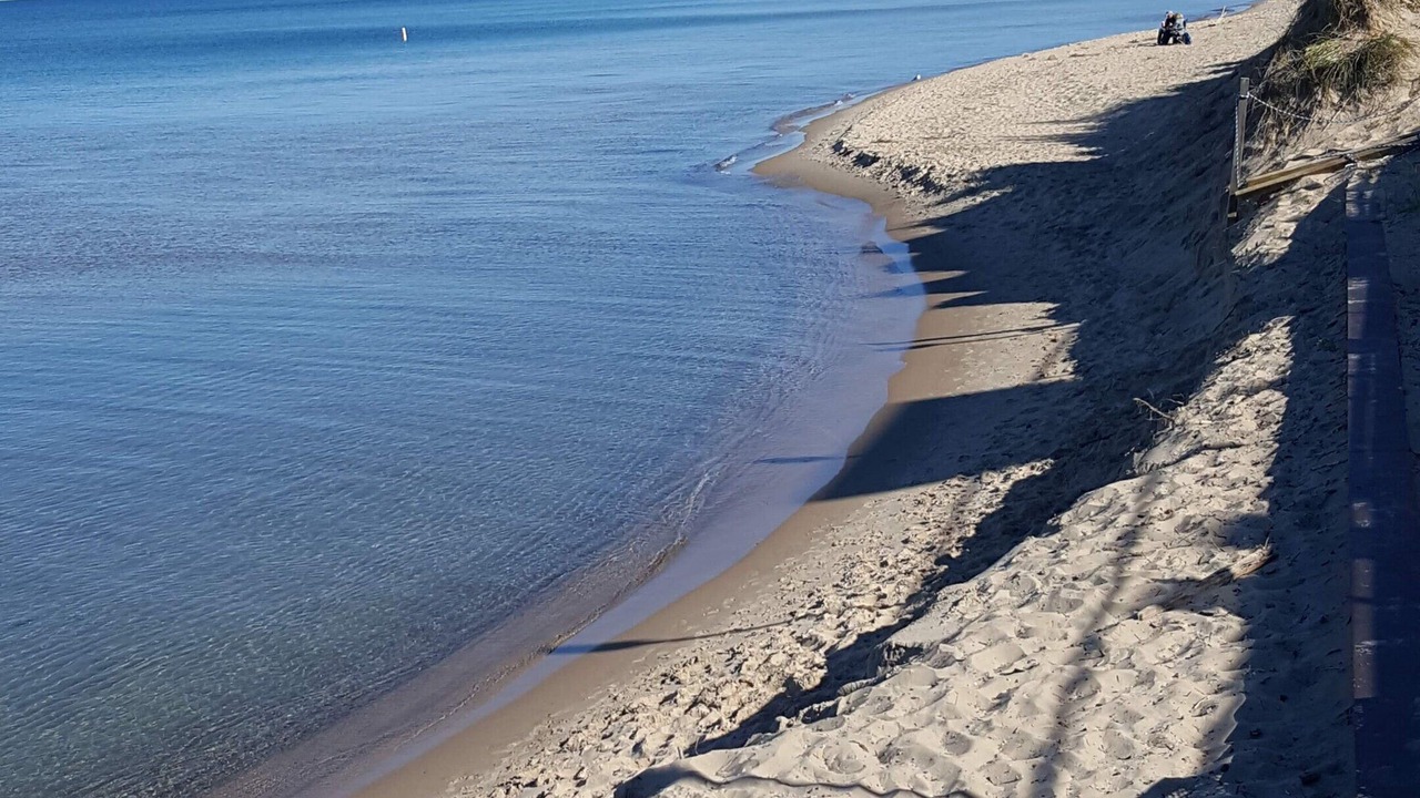 Photo of Others in South Haven