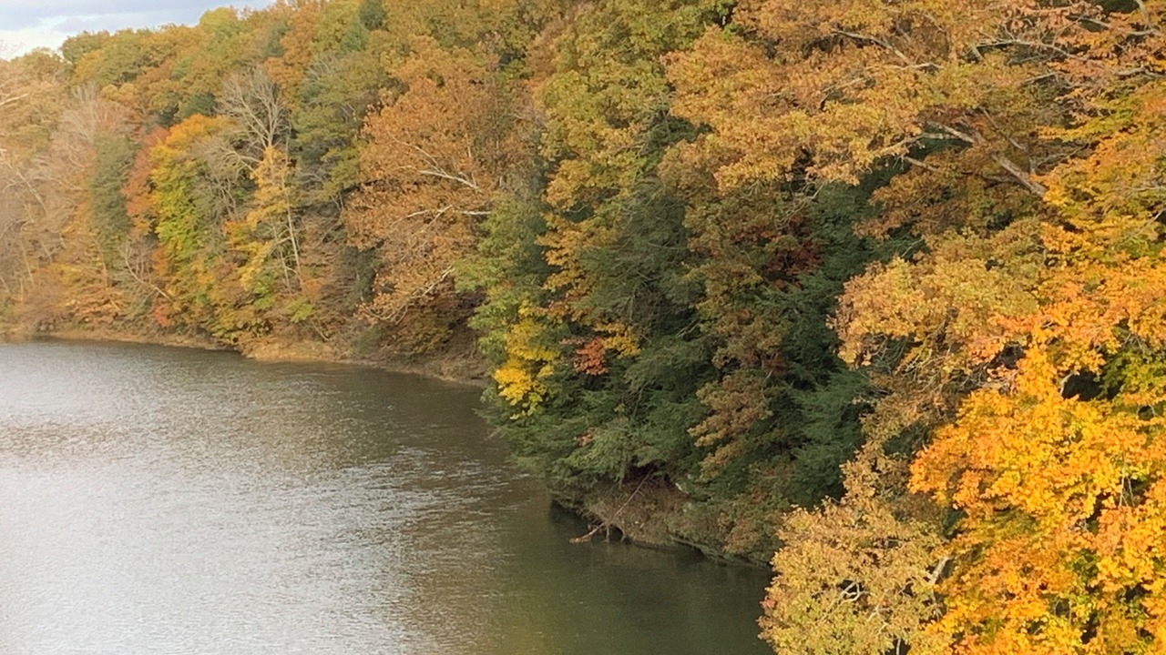Photo of Others in Marshall